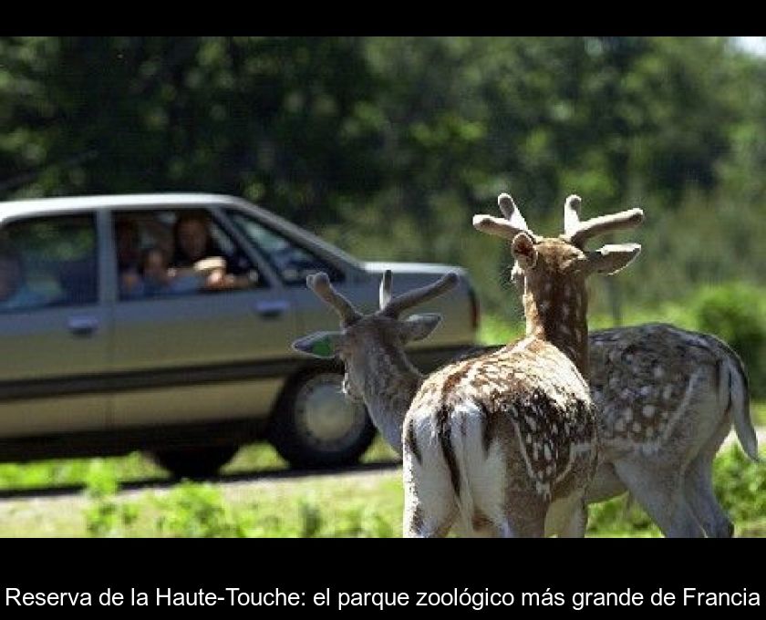 Reserva De La Haute-touche: El Parque Zoológico Más Grande De Francia
