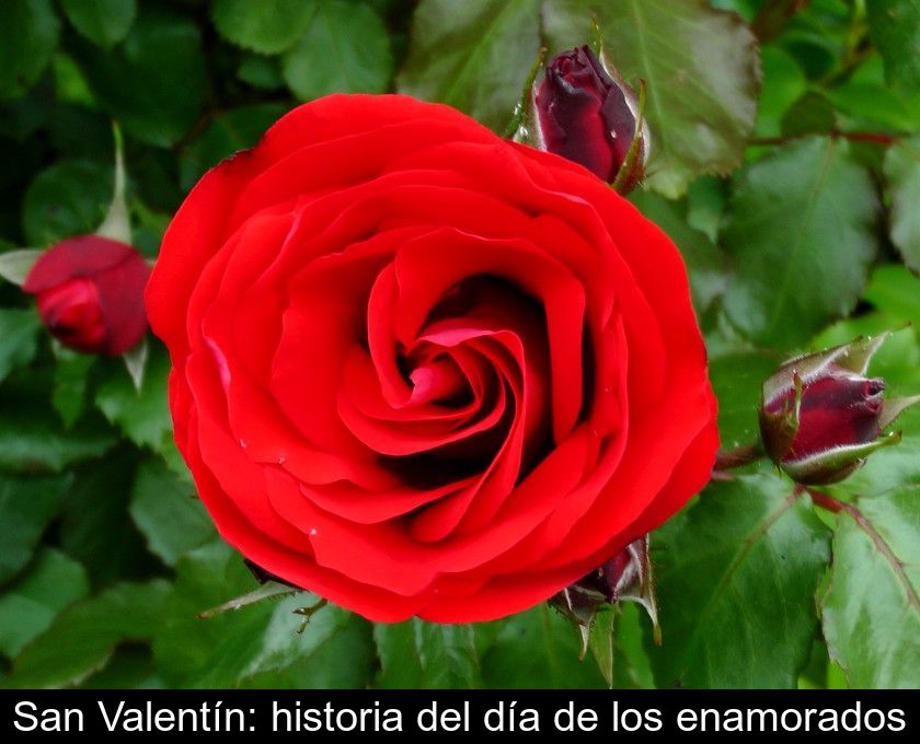San Valentín: Historia Del Día De Los Enamorados