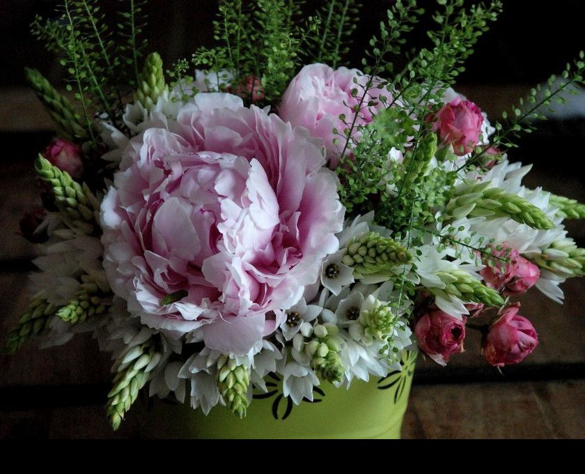 San Valentín Ecológico: ¿qué Flores Regalar?