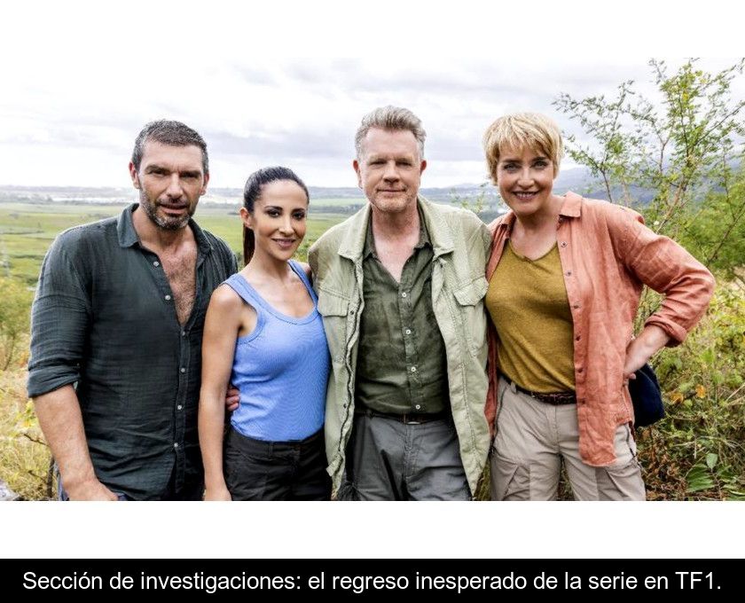 Sección De Investigaciones: El Regreso Inesperado De La Serie En Tf1.