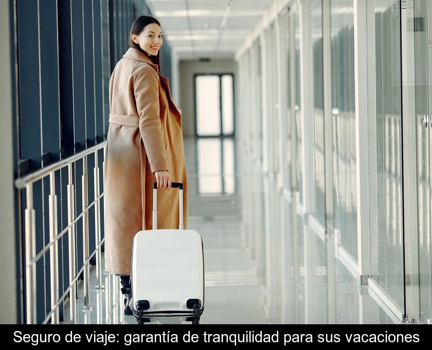 Seguro De Viaje: Garantía De Tranquilidad Para Sus Vacaciones