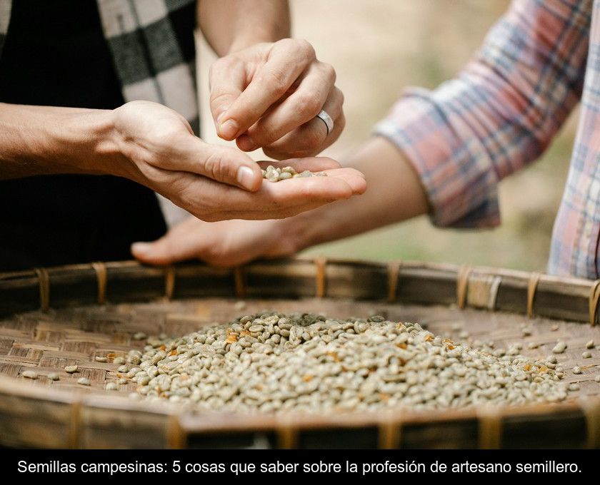 Semillas Campesinas: 5 Cosas Que Saber Sobre La Profesión De Artesano Semillero.