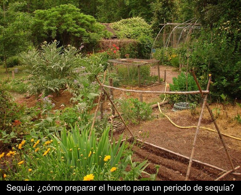 Sequía: ¿cómo Preparar El Huerto Para Un Periodo De Sequía?