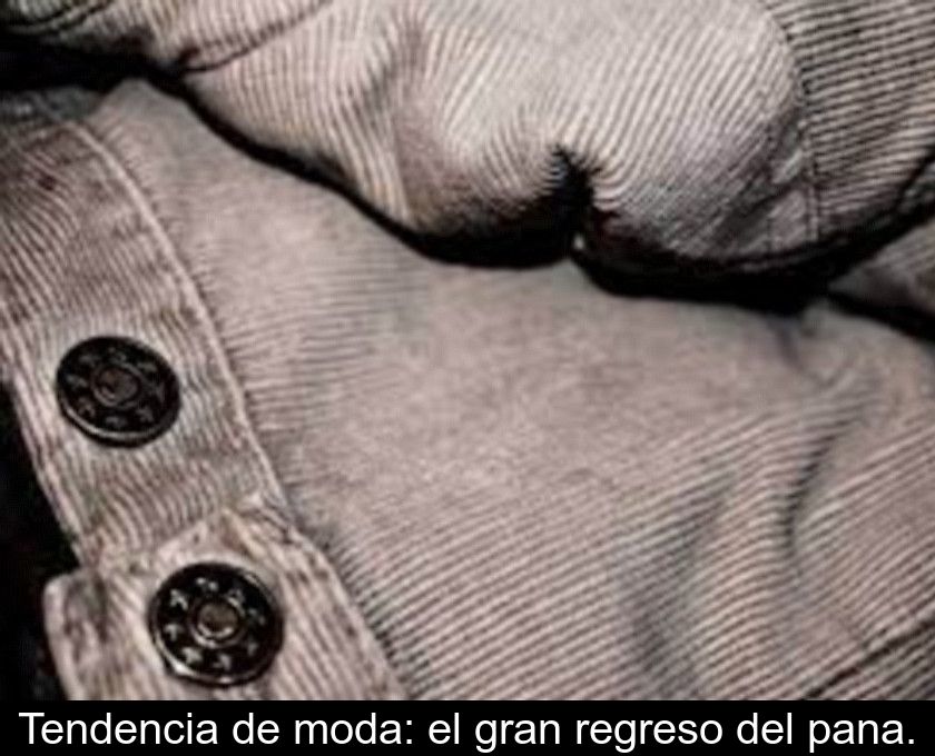 Tendencia De Moda: El Gran Regreso Del Pana.