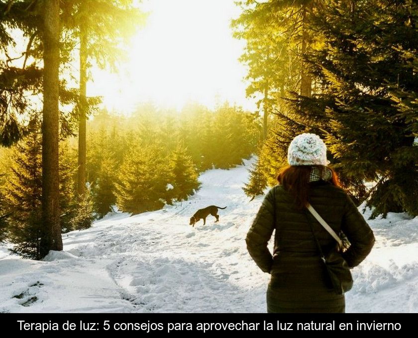 Terapia De Luz: 5 Consejos Para Aprovechar La Luz Natural En Invierno