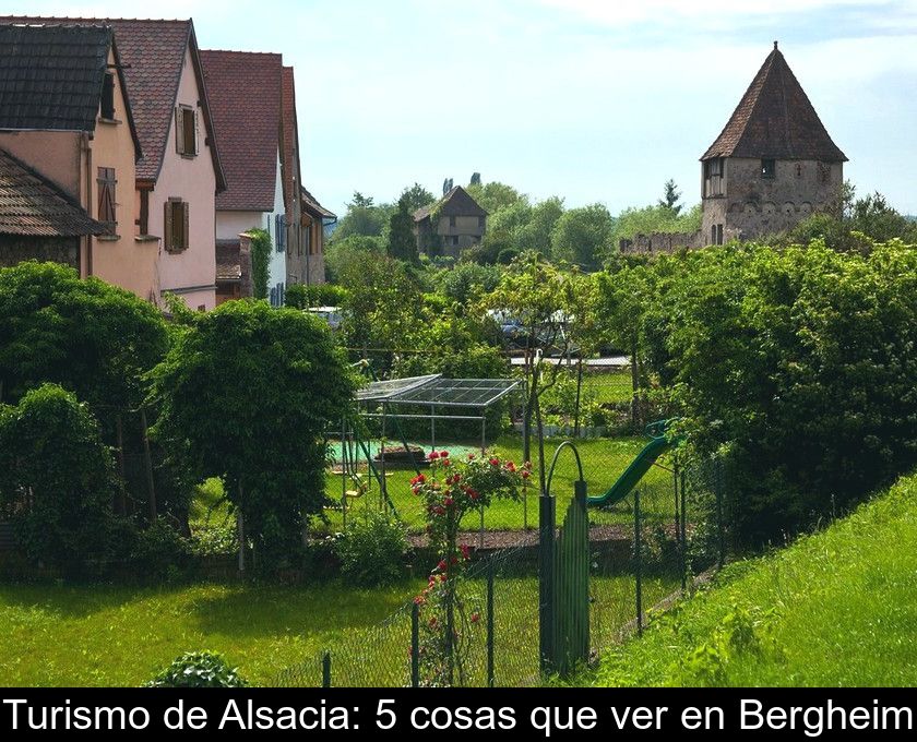 Turismo De Alsacia: 5 Cosas Que Ver En Bergheim