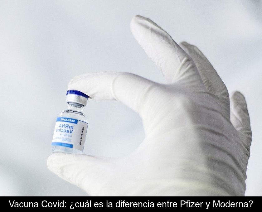 Vacuna Covid: ¿cuál Es La Diferencia Entre Pfizer Y Moderna?
