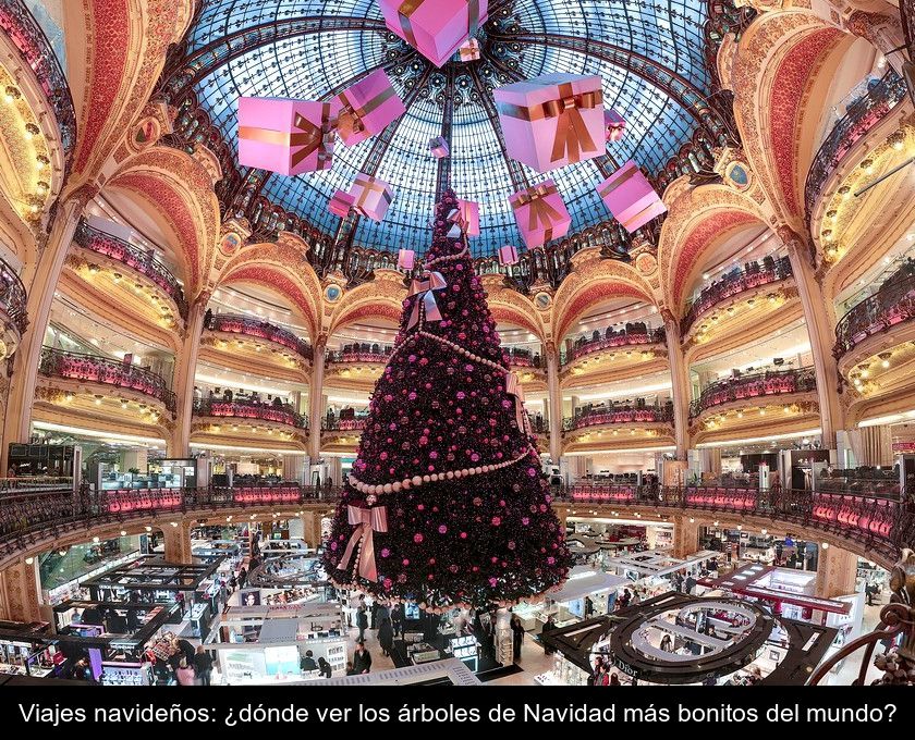 Viajes Navideños: ¿dónde Ver Los árboles De Navidad Más Bonitos Del Mundo?