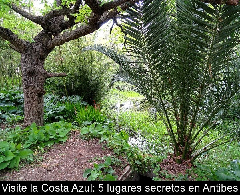 Visite La Costa Azul: 5 Lugares Secretos En Antibes