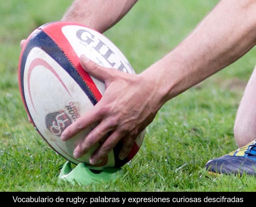 Vocabulario De Rugby: Palabras Y Expresiones Curiosas Descifradas