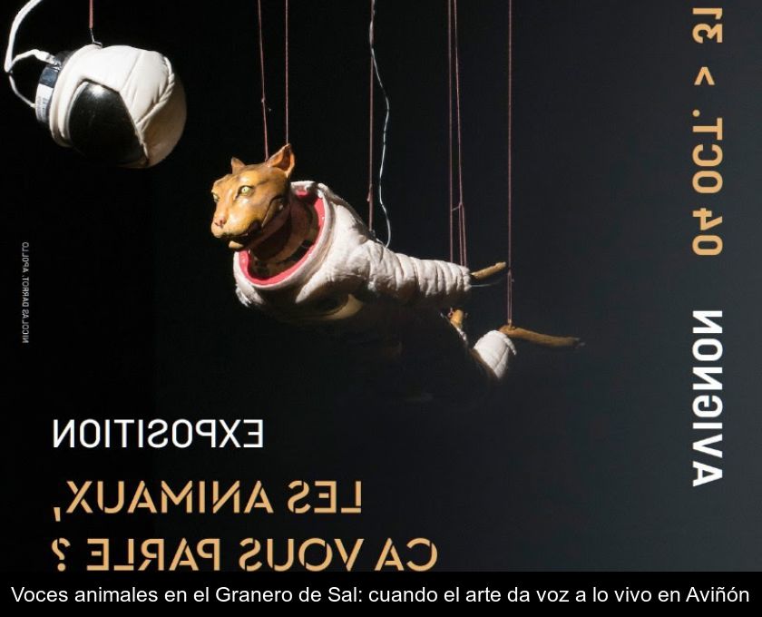 Voces Animales En El Granero De Sal: Cuando El Arte Da Voz A Lo Vivo En Aviñón
