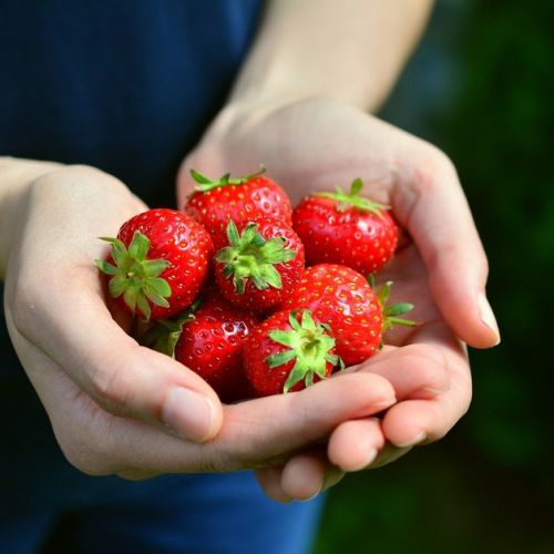 5 beneficios de las fresas para la salud
