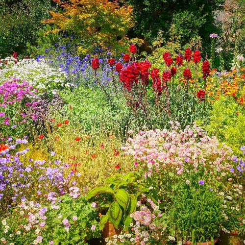 8 pasos hacia la no jardinería