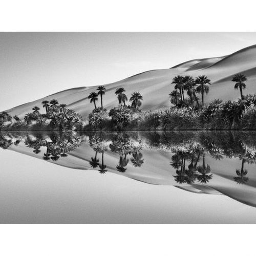 Aqua Mater: una exposición de Sebastião Salgado en La Défense