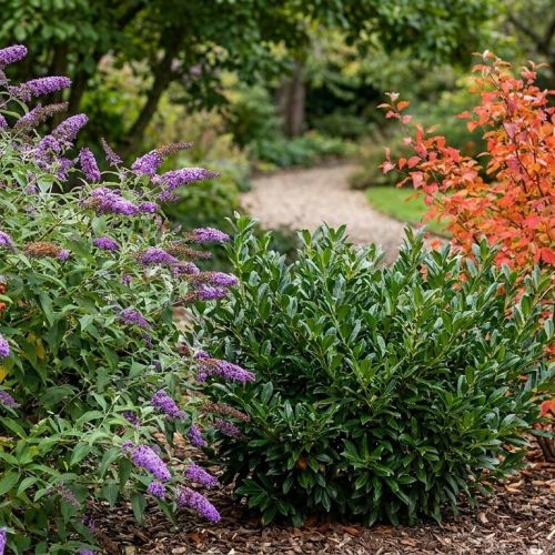 Arbustos ornamentales: el secreto de un jardín vivo en todas las estaciones.