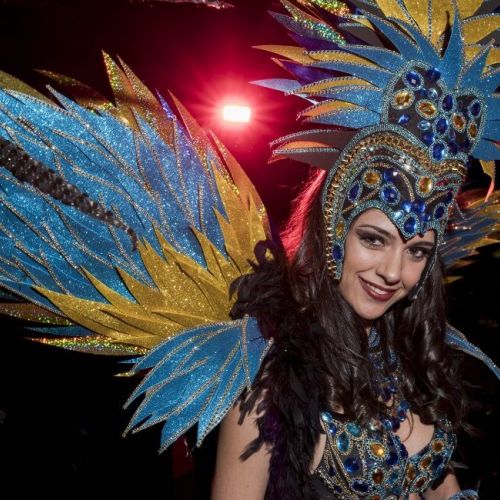 Carnaval de Madeira: una fiesta llena de color