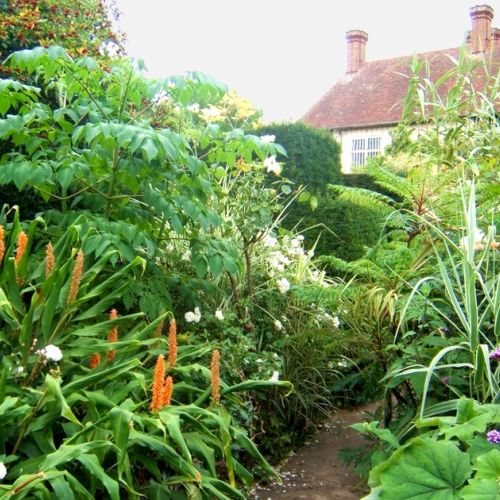 ¿Cómo hacer un jardín tropical en Francia?