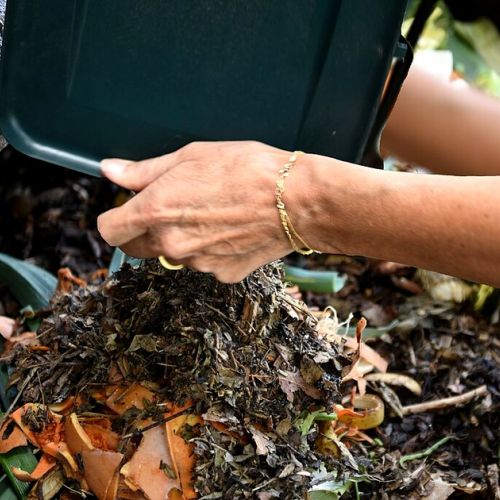Compost: ¿cómo evitar los malos olores y los insectos?
