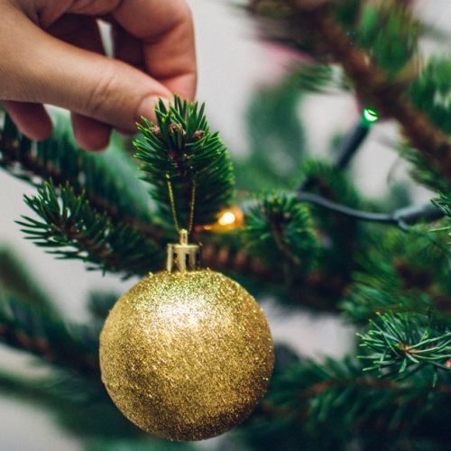 ¿Cuándo se debe quitar el árbol de Navidad?