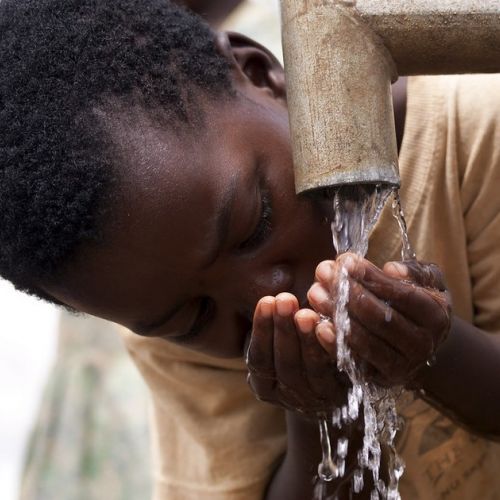 Día Mundial del Agua: 5 gestos para preservar este recurso.