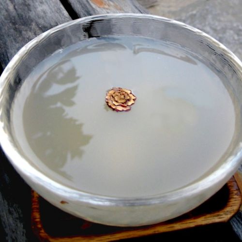 El agua de arroz para la piel y el cabello: un truco de belleza fácil.