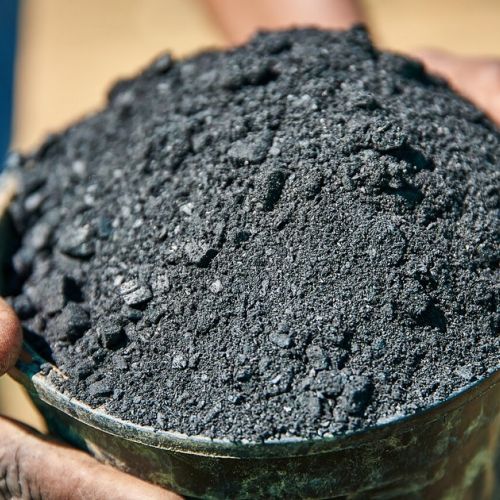 ¿El biochar: solución milagrosa para el medio ambiente?