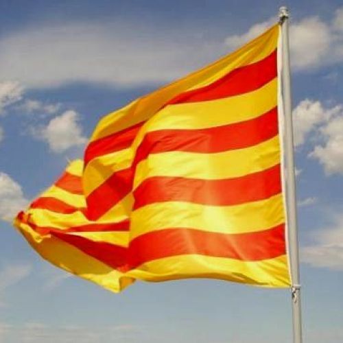 El catalán: presentación e historia