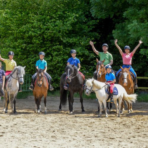 El Día del Caballo: iniciaciones y animaciones para todos.