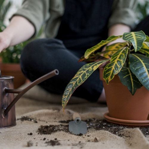 El gel de riego para regar las plantas durante las vacaciones.