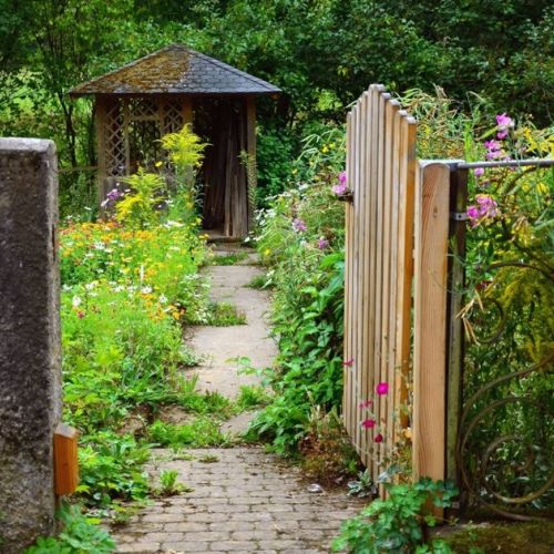 El jardín de la bruja: ¿qué plantas cultivar?