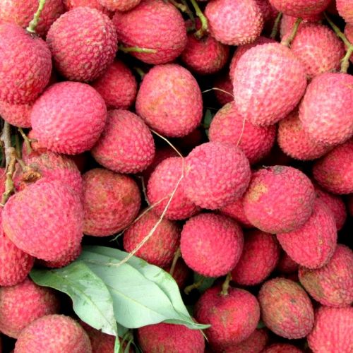 El lichi: 5 cosas insólitas que hay que saber sobre esta fruta