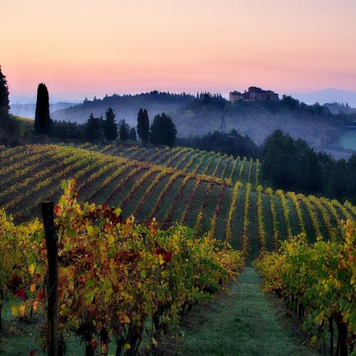 El otoño en Toscana: 5 cosas para hacer en el lugar.