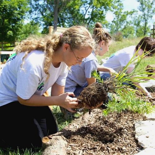 Empleo: el auge de las profesiones del paisaje