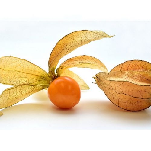 Grosella espinosa: 5 cosas sorprendentes que hay que saber sobre esta fruta
