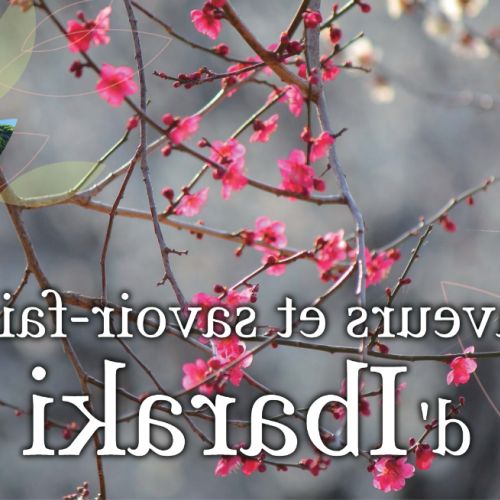 Ibaraki: sabores, artesanía y paisajes a 45 minutos de Tokio