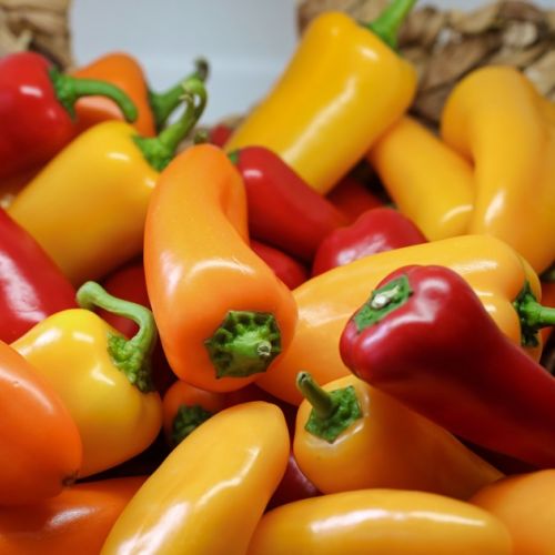 Jardín: 5 hechos curiosos sobre el pimiento.