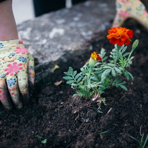Jardín: ¿cómo evitar accidentes con las manos?