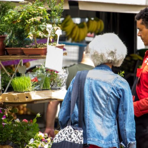 Jardinería: 5 buenos planes para encontrar plantas baratas.