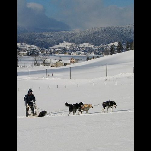 L'Aventure Polaire: una carrera de trineos tirados por perros en Méaudre