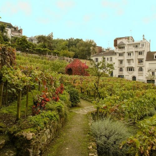 La Fiesta de la Vendimia de Montmartre: una cita amigable