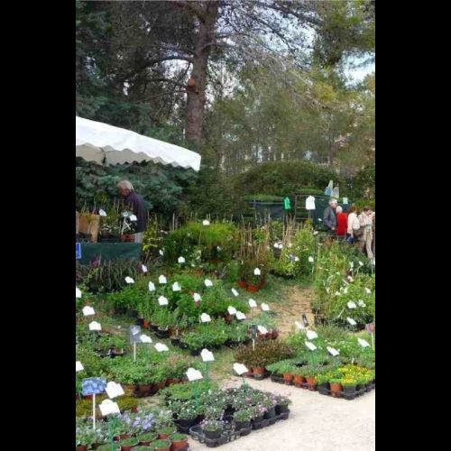 La Fiesta de los jardines de Valbonne: una feria de plantas mediterráneas