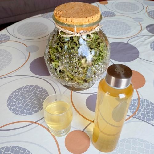 La infusión helada de verbena: una receta de bebida refrescante.