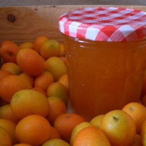La mermelada de kumquat: una receta fácil.