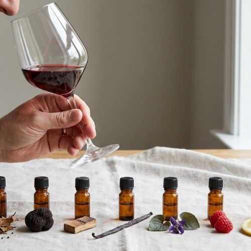 Los aromas del vino: la guía de las familias de olores para finalmente saber lo que se siente.