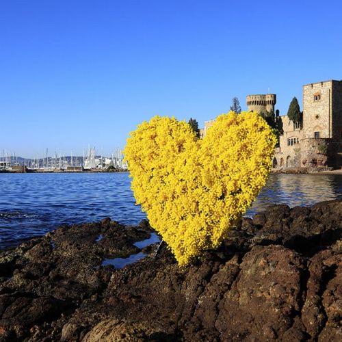 Mandelieu: un destino romántico para San Valentín