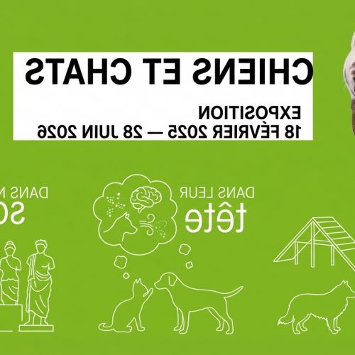 Perros & Gatos: la exposición irresistible que analiza (y despeja) a nuestros compañeros de cuatro patas en la Ciudad de las Ciencias.