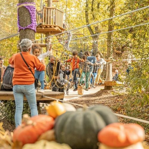 Terra botanica: el parque del vegetal en Angers