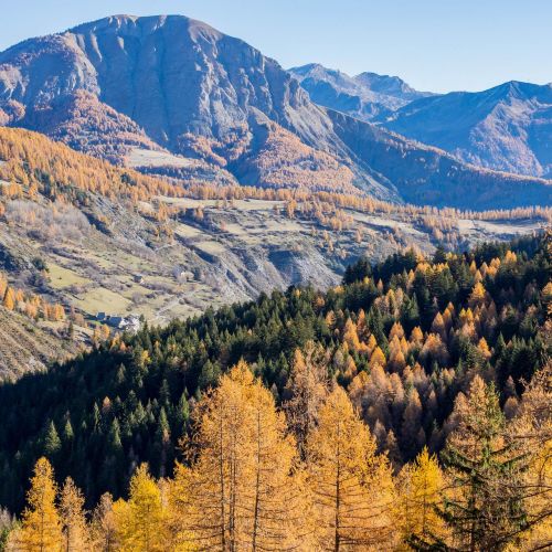 Val d'Allos en otoño: cuando la montaña se viste de oro y suavidad