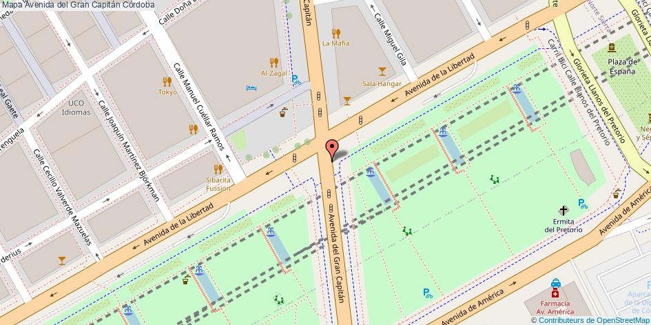 Avenida del Gran Capitán Córdoba