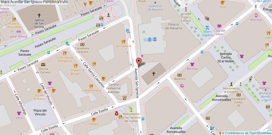 Avenida San Ignacio Pamplona/Iruña